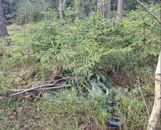 Skradziona hulajnoga, ukryta w lesie /Policja Dolnośląska /Policja