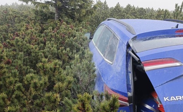 ​Skradziona skoda ukryta wysoko w górach. Karoseria wystawała spod kosodrzewiny