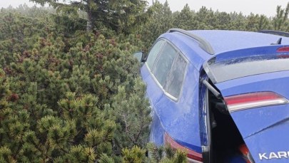 ​Skradziona skoda ukryta wysoko w górach. Karoseria wystawała spod kosodrzewiny