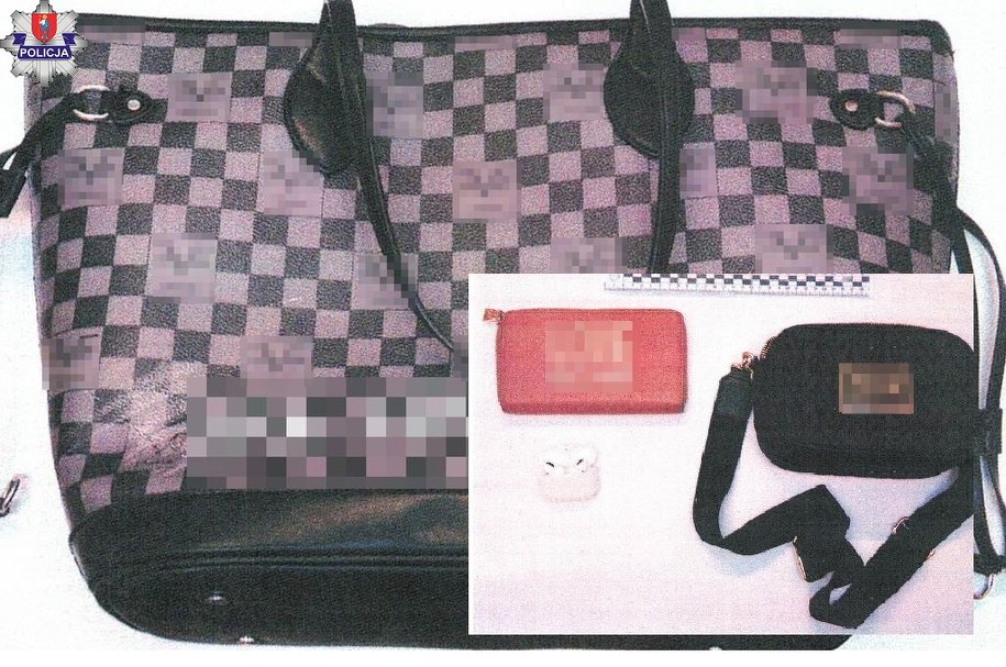 Skradzione przedmioty były warte niemal 13 tys. złotych /policja Zamość  /Policja