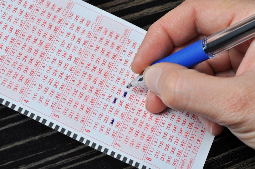 Skreślili je i wygrali w Lotto. Oto najczęściej stosowane kombinacje 