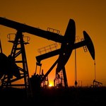 Skrobowski: Wisent skupia się na poszukiwaniu ropy z łupków