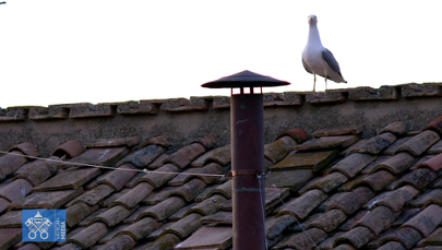 Skrzydlata bohaterka konklawe. Wróciła po 12 latach