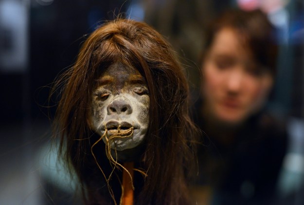 Skurczona czaszka z Ekwadoru podczas ekspozycji w tokijskim muzeum /FRANCK ROBICHON /PAP/EPA