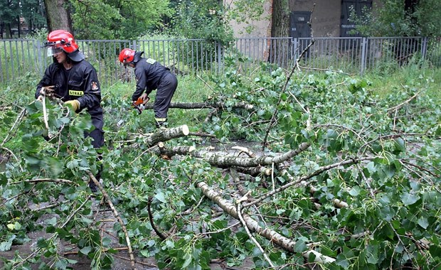 Skutki burz w Świętokrzyskiem: Połamane drzewa, zalane piwnice i brak prądu