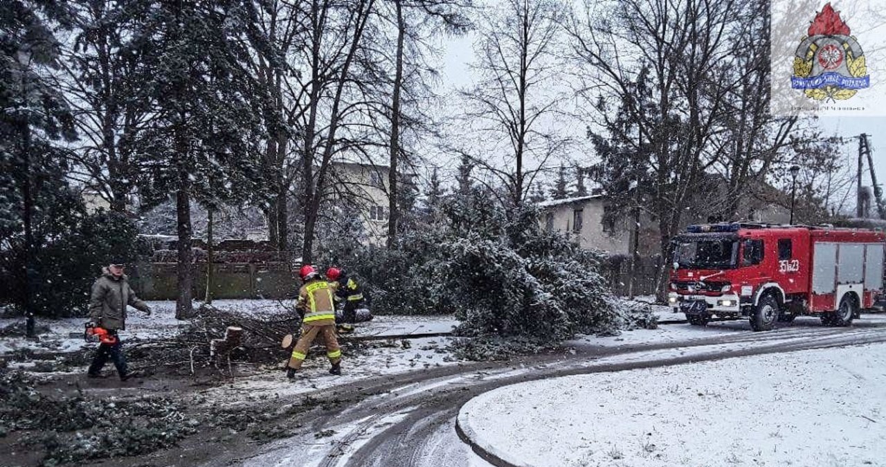 Skutki burzy śnieżnej w Zgierzu