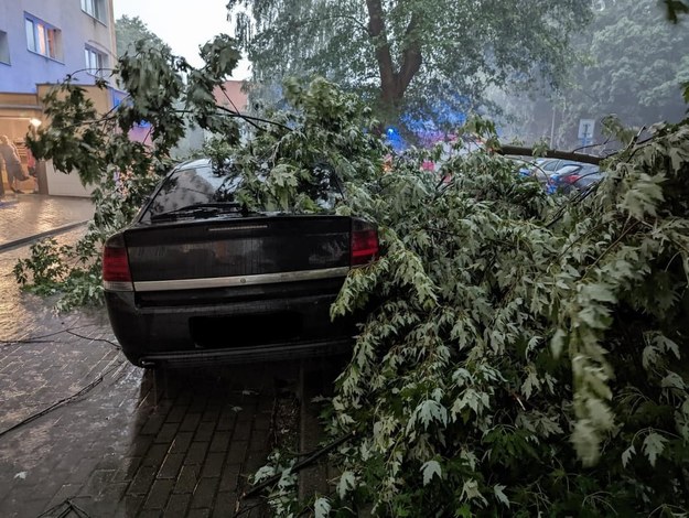 Skutki czwartkowych nawałnic. /Państwowa Straż Pożarna /