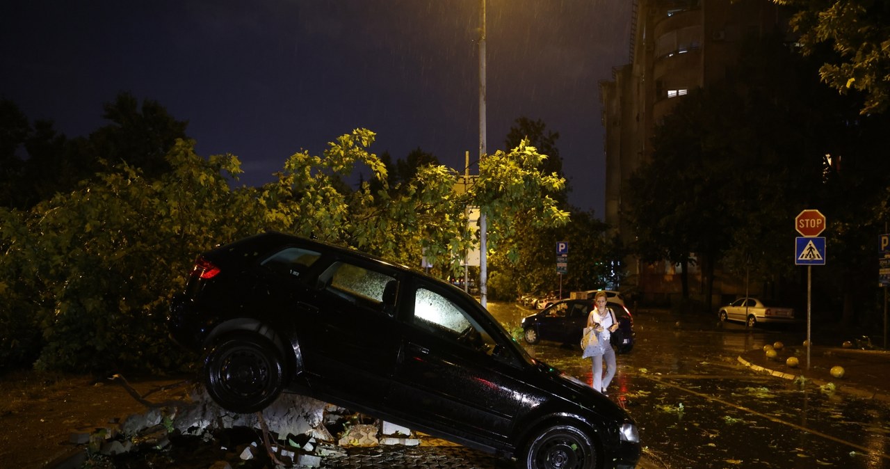 Skutki gwałtownej burzy w Belgradzie