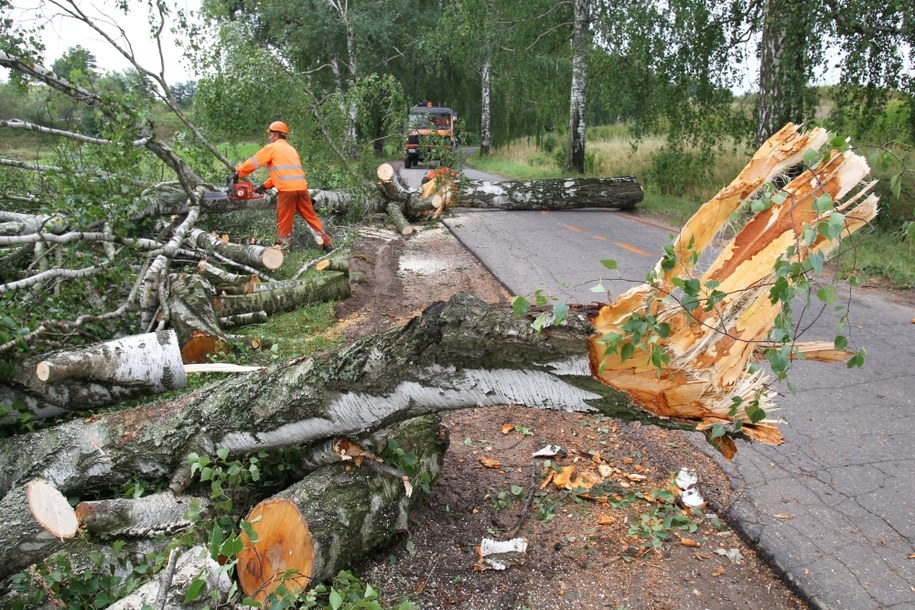 Skutki nawałnicy  nad wsią Węgajty w woj. warmińsko-mazurskim /Tomasz Waszczuk /PAP