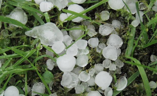 Skutki nawałnicy w Łódzkiem. Kule gradowe podziurawiły dachy