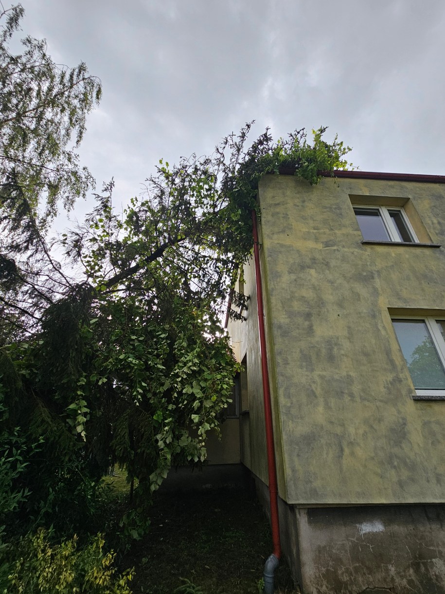 Skutki nawałnicy w miejscowości Gręblin (Pomorskie) /Gorąca Linia RMF FM