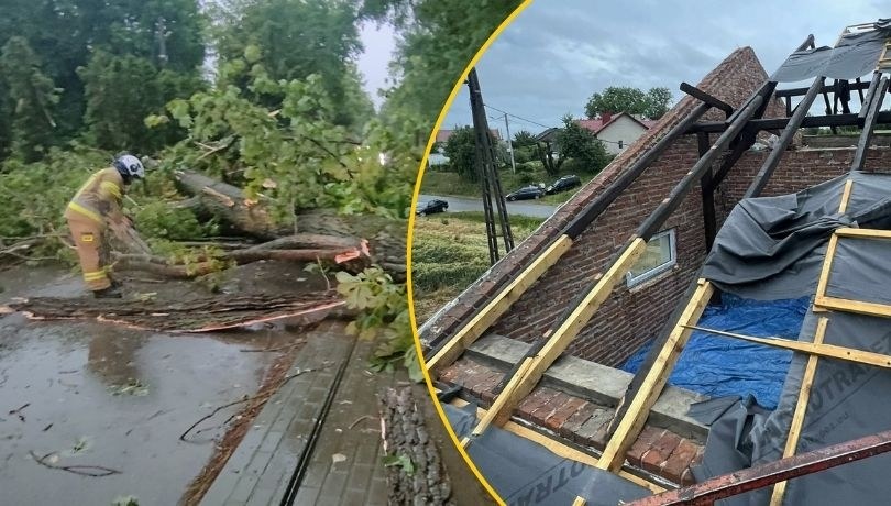 Skutki ostatniej nawałnicy /Komenda Powiatowa Państwowej Straży Pożarnej w Łańcucie /Państwowa Straż Pożarna