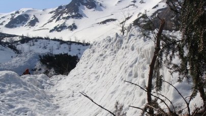 Skutki potężnej lawiny w Dolinie Pysznej
