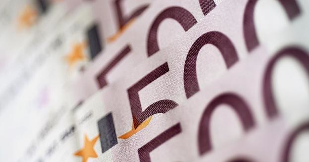 Skutki przyjęcia euro w Polsce negatywnie ocenia 45 proc. badanych /&copy; Panthermedia
