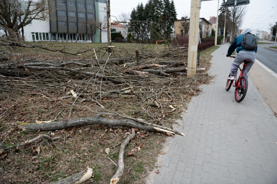 Skutki wichur - zdjęcie poglądowe /	Jakub Kaczmarczyk   /PAP