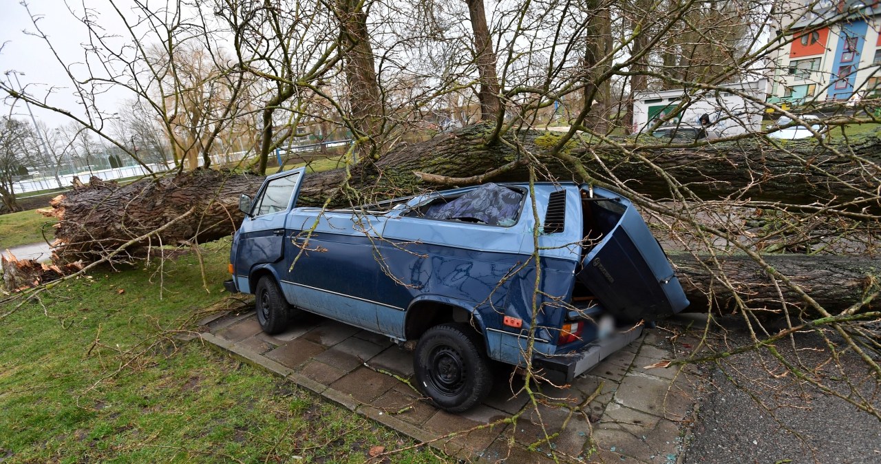 Skutki wichury jaka przeszła nad Kołobrzegiem / 	Marcin Bielecki    /PAP