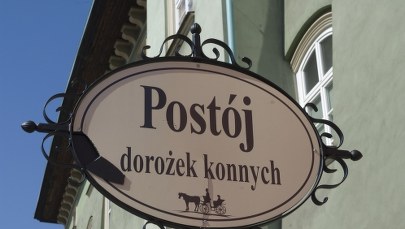 Skwar leje się z nieba, a koni żal 