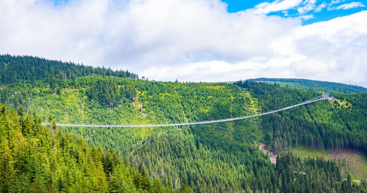 Sky Bridge 721 to atrakcja tylko dla odważnych. Najdłuższy most wiszący dla pieszych na świecie czeka na zainteresowanych w Czechach. /Pixel