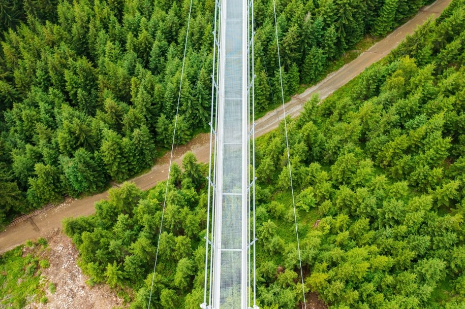 Sky Bridge 721 /Shutterstock