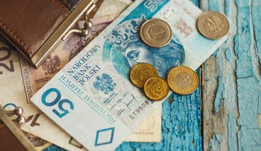 Słabe prognozy dla euro i dolara. Złoty zbiera siły przed kolejnym natarciem?