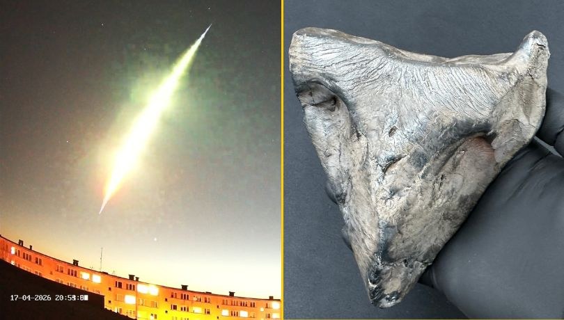 Ślad zjawiska zarejestrowany przez stację SN12 - Koluszki / fot. Paweł Walczak, Koluszkowska Stacja Kosmiczna /Facebook/Skytinel /Facebook
