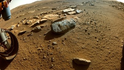 Ślad życia na Marsie?! To odkrycie może zmienić wszystko