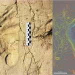 Ślady dziecięcych stóp sprzed 700 000 lat