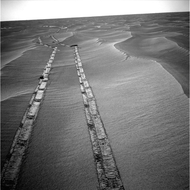 Ślady łazika Opportunity na powierzchni Marsa /NASA /Materiały prasowe