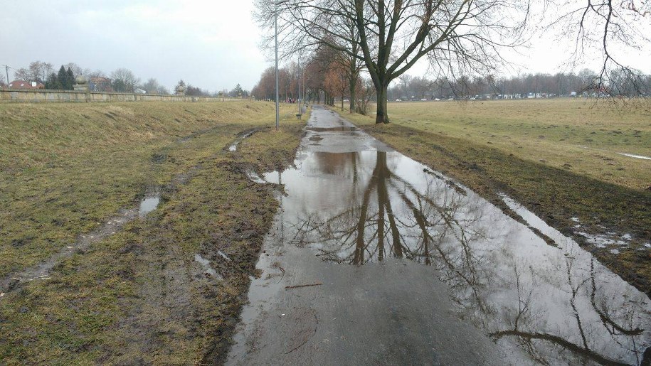 Ślady opon w pobliżu alejki na Błoniach /Jacek Skóra /RMF FM