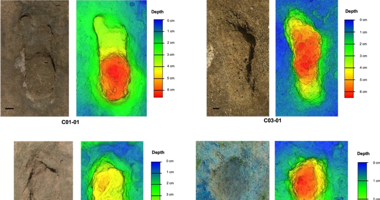 Ślady stóp i wygenerowane na ich podstawie modele /Sedrati M. i in., Sci Rep 14, 1962 (2024)/CC BY 4.0 DEED (https://creativecommons.org/licenses/by/4.0/) /materiał zewnętrzny