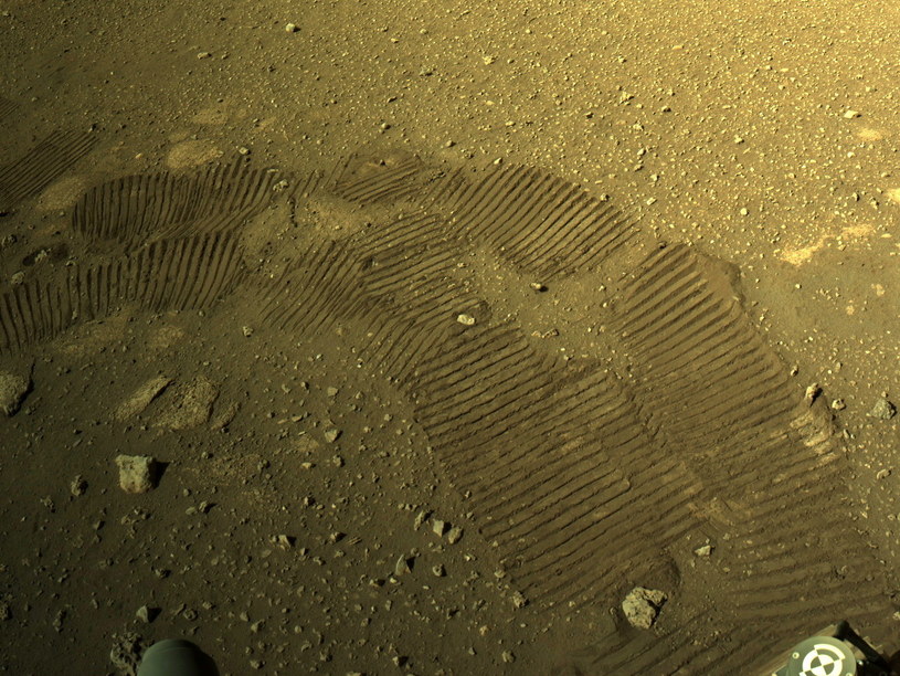 Traces left by Perseverance / EPA / NASA / JPL-Caltech / PAP / EPA