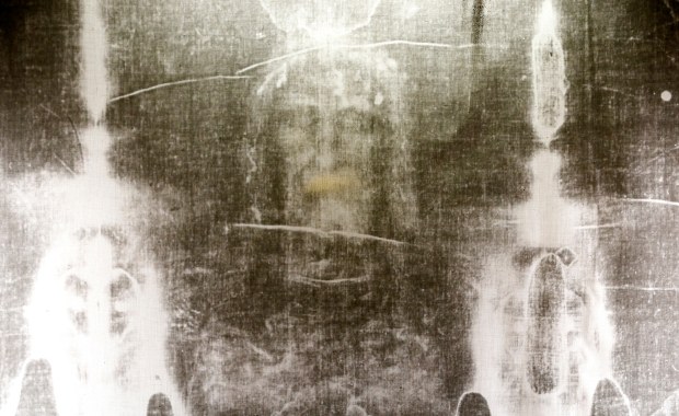 Ślady zwierząt i roślin odkryte na Całunie Turyńskim. To nie wszystko