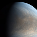 Ślady życia na Wenus? To może być przełomowe odkrycie
