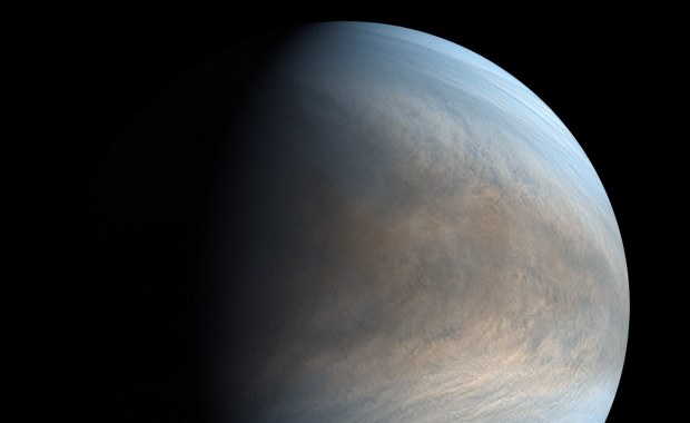 Ślady życia na Wenus? To może być przełomowe odkrycie