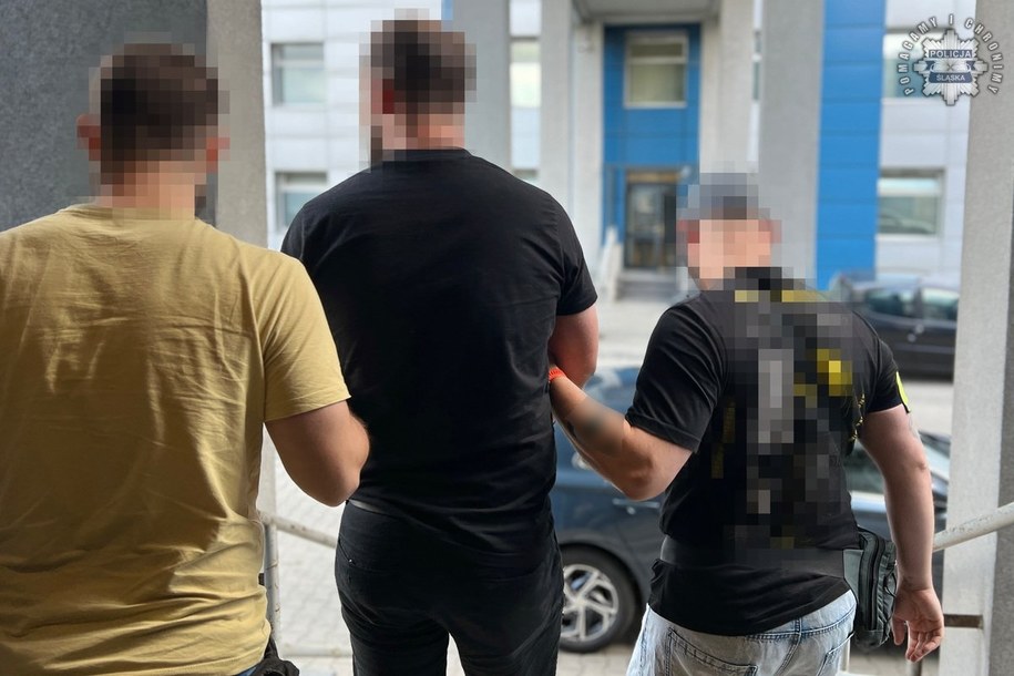 Śląscy pseudokibice, zamieszani w pobicia przechodniów w Chorzowie, zatrzymani /Policja Śląska /Policja