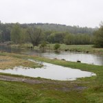 Śląsk: Opada poziom wody w rzekach, nie ma zagrożenia powodzią