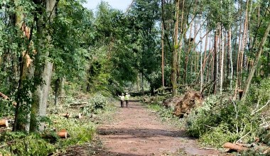 Śląsk: Trąba powietrzna zniszczyła las