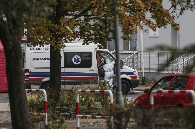 Śląskie: Ogniska koronawirusa w ponad 30 DPS-ach /Piotr Jędzura /Reporter