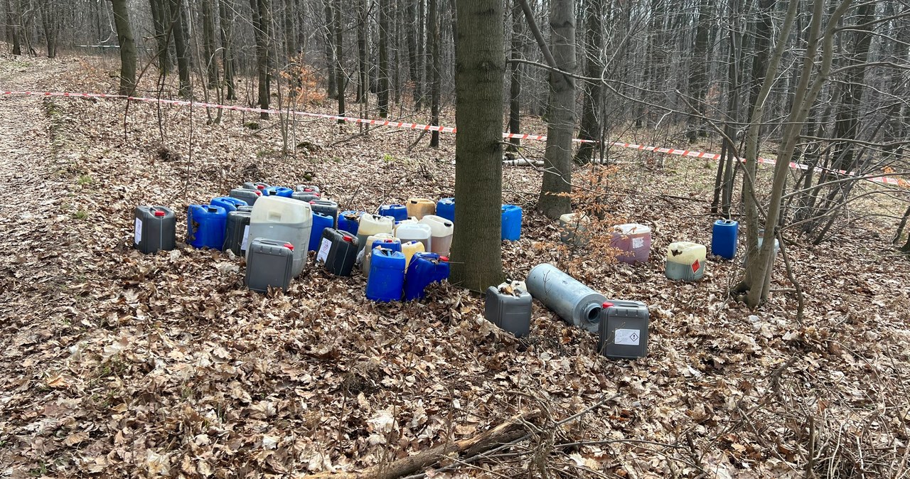 Śląskie: Pojemniki znalezione w lesie w Zbrosławicach 