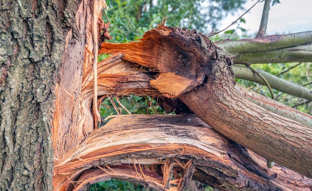 Śląskie: Ponad 150 interwencji strażaków w związku z burzami