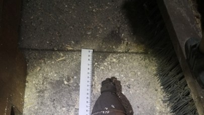 Śląskie: Prawie stuletni pocisk artyleryjski na poddaszu kamienicy