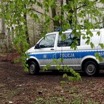 Śląskie: Szalał z siekierą w domu 73-letniej babci 