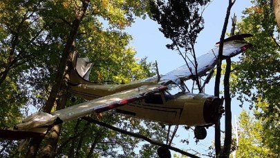 Śledczy wiedzą, do kogo należała tajemnicza awionetka rozbita w Bieszczadach