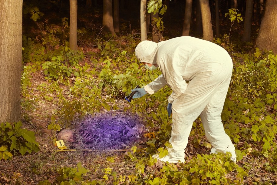 Wędkarz znalazł ludzką czaszkę. Policja odkryła kolejne kości