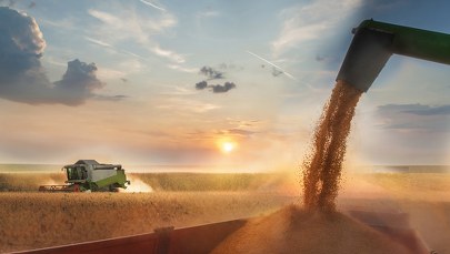 Śledztwo w sprawie handlu ukraińskim zbożem w Polsce