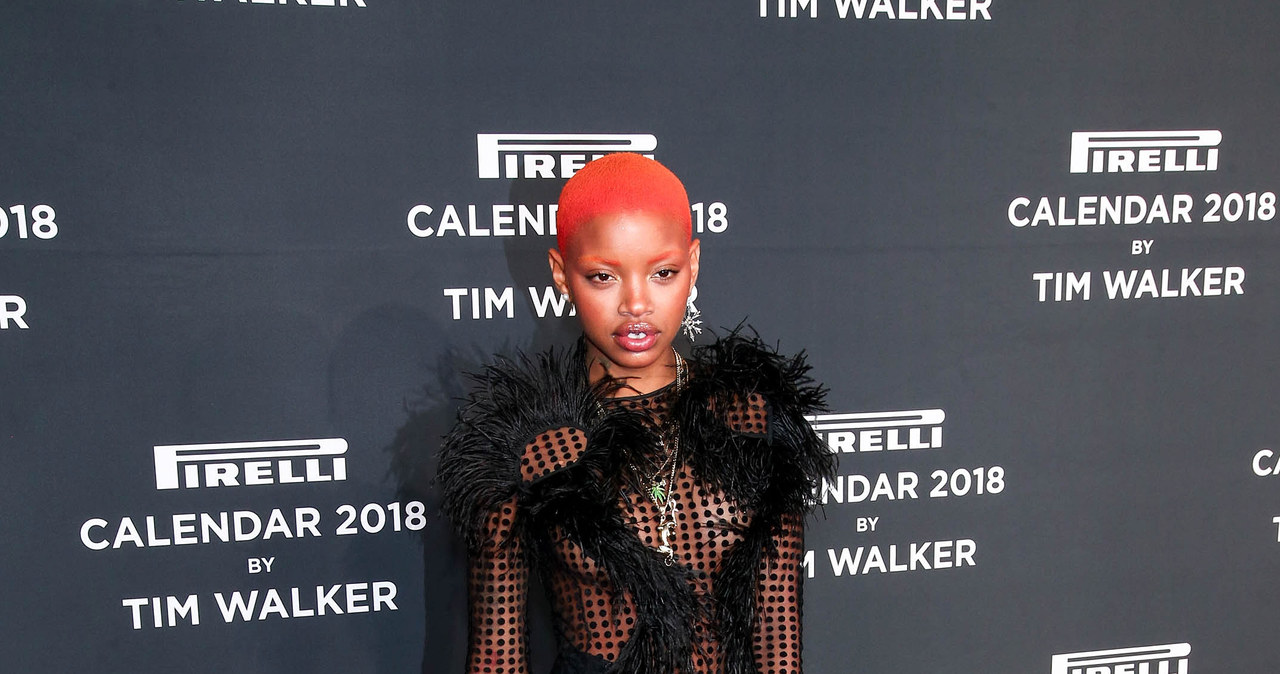 Slick Woods /Paul Zimmerman /Getty Images