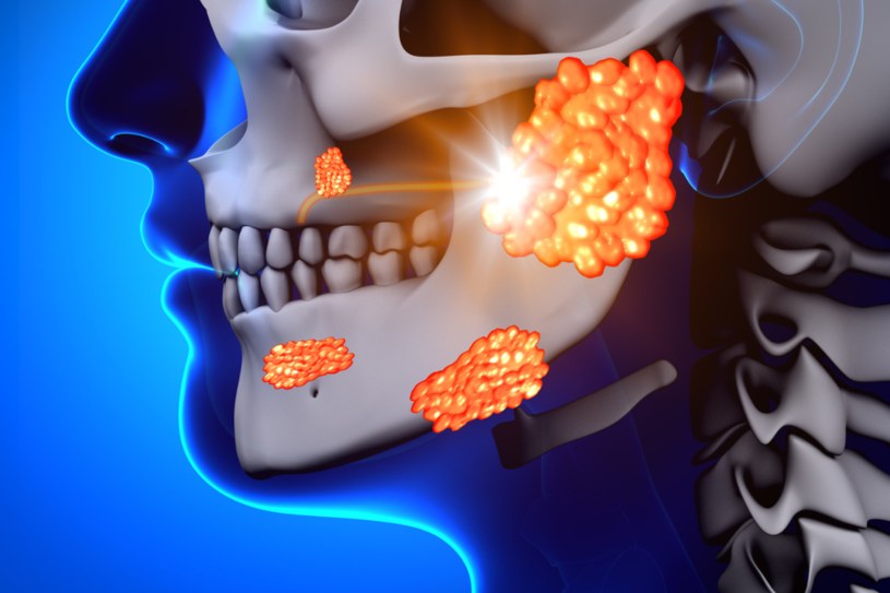 Ślinianki znajdują się w okolicy policzków i odpowiadają za produkcję śliny /123RF/PICSEL