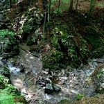 Śliskie i błotniste szlaki w Bieszczadach. Wędrówki mogą być trudne