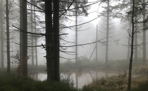 Ślisko, mgliście i zimno. Trudne warunki w Beskidach