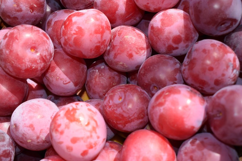 Śliwki to jedne z najpopularniejszych owoców drugiej połowy lata i jesieni w Polsce. Przy założeniu najwyżej jakości kupujący muszą zapłacić za każdy kilogram około 3 zł /123RF/PICSEL /123RF/PICSEL